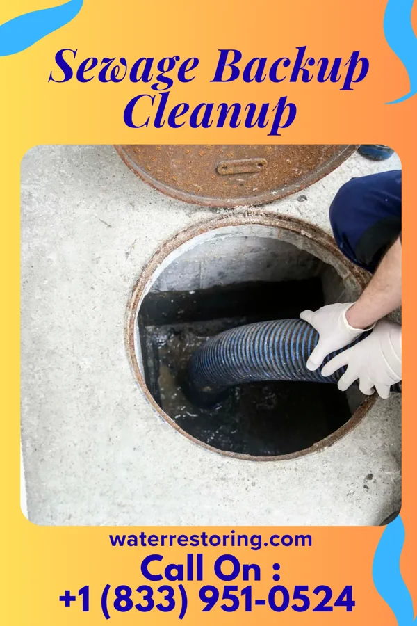 Sewage Backup Cleanup in Branford Center, CT